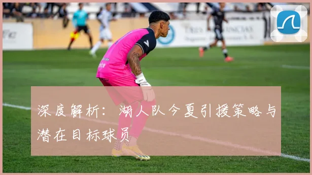 深度解析:湖人队今夏引援策略与潜在目标球员